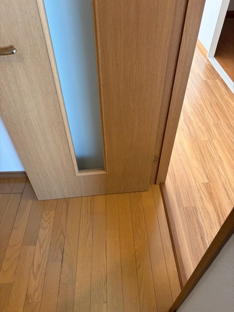 ドア表面はがれ割れ